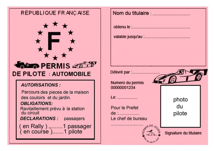 Mon Permis De.pour Jouer – 1 Et 2 Et 3 Doudous concernant Argent Factice À Imprimer