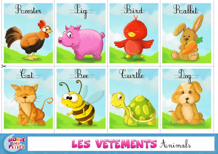 Monde Des Petits – Apprendre En Vidéo destiné Apprendre Le Nom Des Animaux