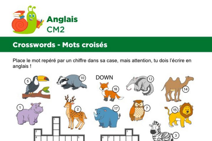 Mots Croisés En Anglais Sur Le Thème Des Animaux Sauvages pour Apprendre Le Nom Des Animaux