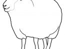 Mouton #14 (Animaux) – Coloriages À Imprimer à Photo De Mouton A Imprimer