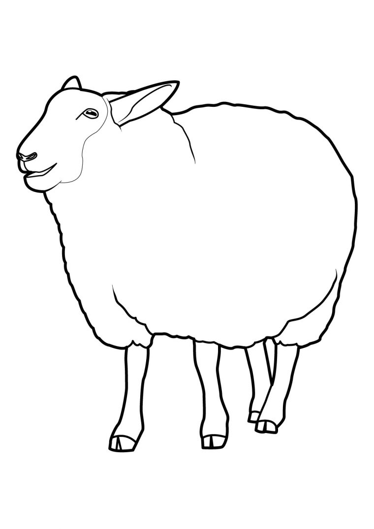 Mouton #14 (Animaux) – Coloriages À Imprimer à Photo De Mouton A Imprimer