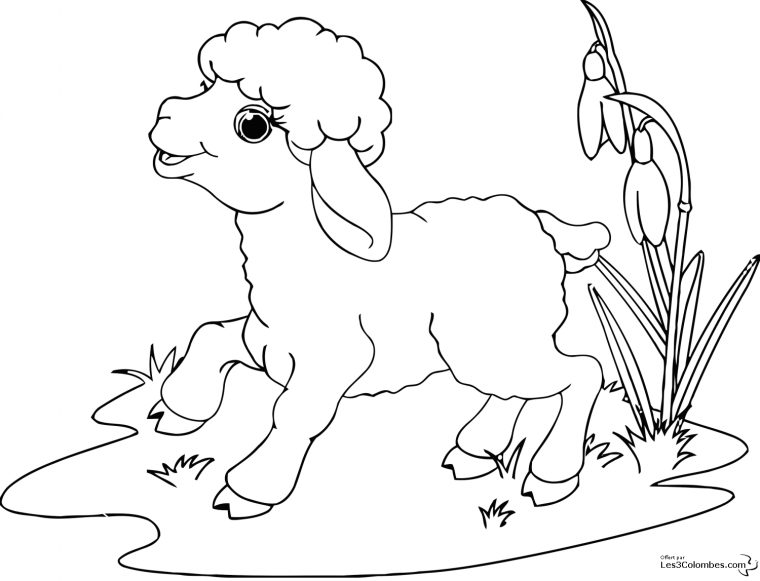 Mouton #29 (Animaux) – Coloriages À Imprimer intérieur Photo De Mouton A Imprimer