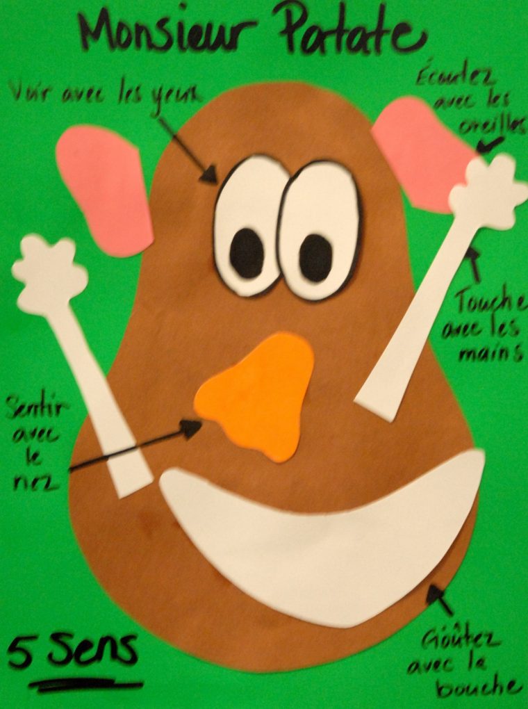 Mr. Po Head's 5 Senses-Monsieur Patate | 5 Sens encequiconcerne Les 5 Sens Activités Maternelle