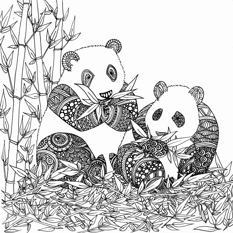 New Coloriage Panda Coloriage Panda . New Coloriage Panda concernant Panda À Colorier