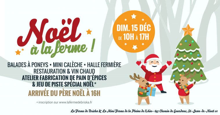 Noël À La Ferme ! • Poney, Calèche, Jeux & Père Noël ! concernant Fabrication De Pere Noel