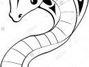 Noir Et Blanc Animal Dessin Serpent Vecteurs Et Illustration destiné Dessin Noir Et Blanc Animaux
