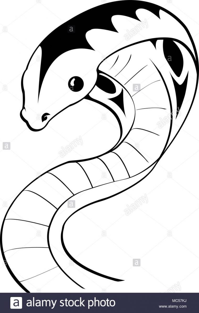 Noir Et Blanc Animal Dessin Serpent Vecteurs Et Illustration destiné Dessin Noir Et Blanc Animaux