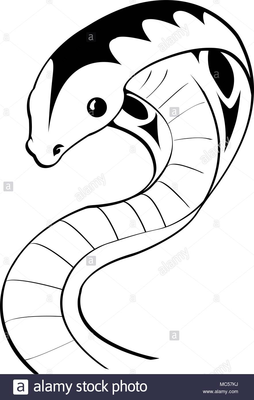 Noir Et Blanc Animal Dessin Serpent Vecteurs Et Illustration destiné Dessin Noir Et Blanc Animaux 