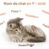 Nom De Chat En P Pour 2019 - Plus De 200 Idées De Noms ! intérieur Apprendre Le Nom Des Animaux