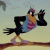 Non, Disney N'a Pas Censuré Ses Vieux Dessins Animés Pour concernant Dessin Dumbo