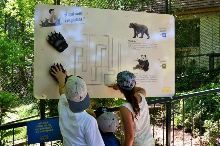 Nouveaux Jeux À La Savane – Beauval Actus concernant Jeux De Savane