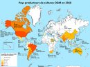 Ogm : Principaux Pays Producteurs concernant Carte Union Européenne 2017