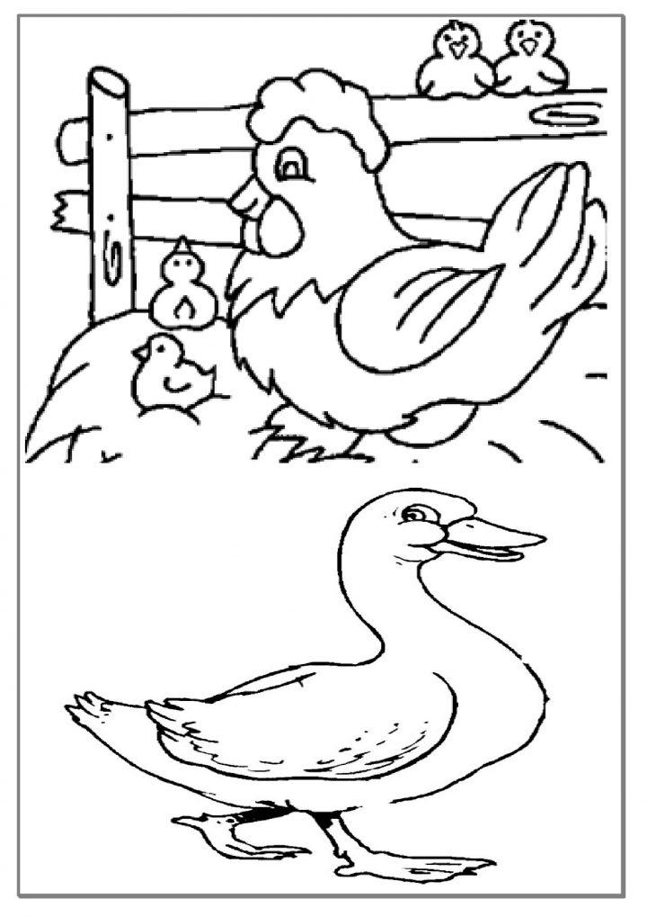 Oie #73 (Animaux) – Coloriages À Imprimer dedans Dessin Animaux De La Ferme À Imprimer