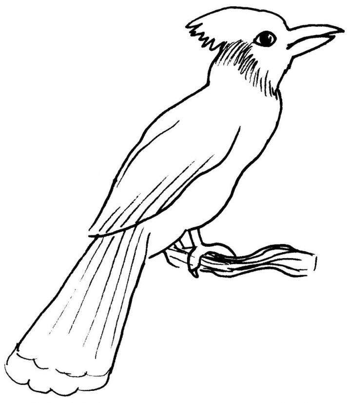 Oiseaux #90 (Animaux) – Coloriages À Imprimer dedans Coloriage Afrique À Imprimer