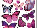 Online Store | Papillon A Imprimer, Art Papillon Et Dessin destiné Etiquette Papillon A Imprimer