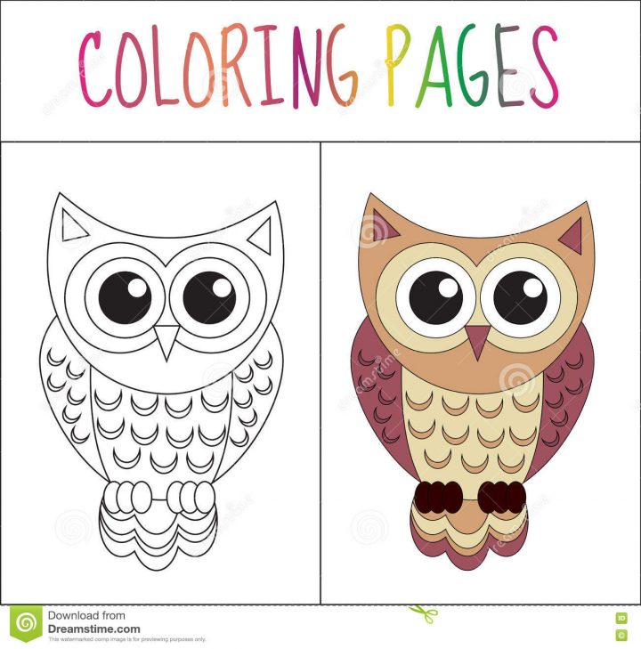 Page De Livre De Coloriage Hibou Version De Croquis Et De encequiconcerne Hibou Dessin Couleur