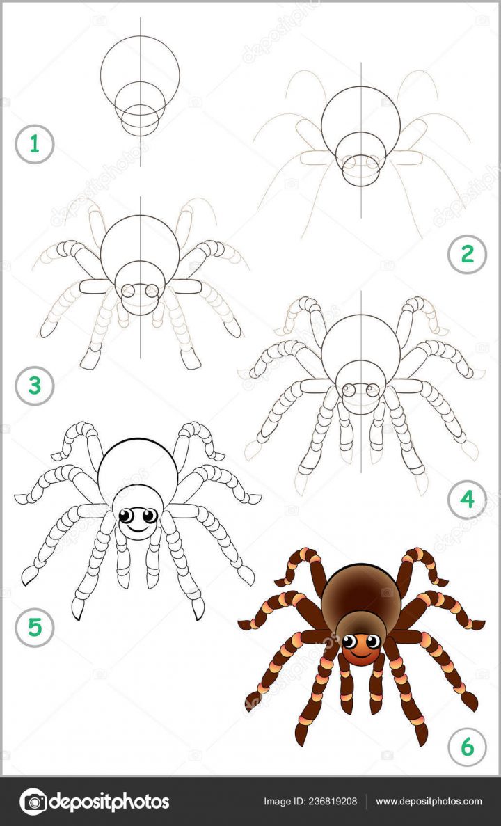 Page Éducative Pour Enfants Montre Comment Apprendre Étape tout Dessiner Une Araignee