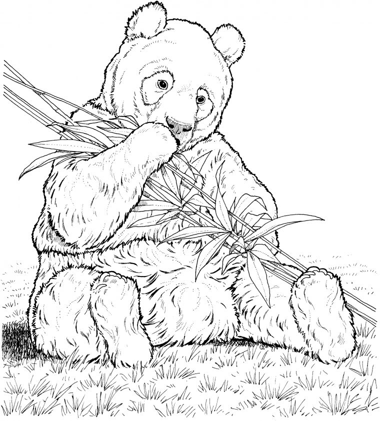 Panda #10 (Animaux) – Coloriages À Imprimer pour Panda À Colorier