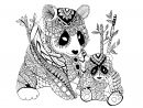 Panda Zentangle Celine - Zentangle - Coloriages Difficiles à Panda À Colorier