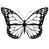 Papillon #2 (Animaux) – Coloriages À Imprimer dedans Dessin A Imprimer Papillon Gratuit