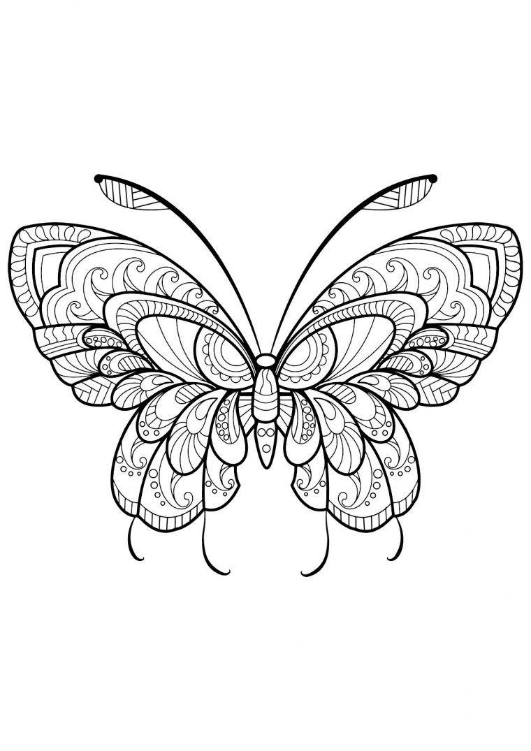 Papillon Jolis Motifs 11 – Papillons & Insectes – Coloriages intérieur Dessin Papillon À Colorier