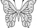 Papillon Jolis Motifs 4 - Papillons &amp; Insectes - Coloriages dedans Dessin Papillon À Colorier