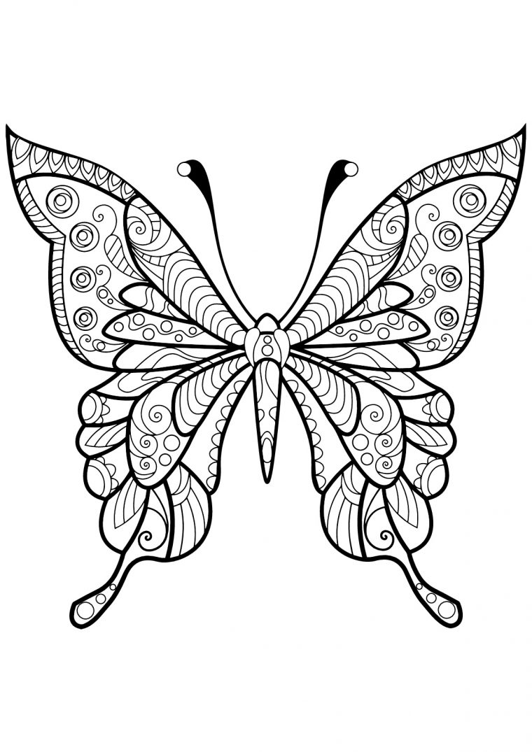 Papillon Jolis Motifs 4 – Papillons & Insectes – Coloriages dedans Dessin Papillon À Colorier