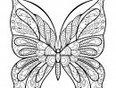 Papillon Jolis Motifs 9 - Papillons &amp; Insectes - Coloriages concernant Dessin Papillon À Colorier