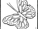 Papillon - Kiddicoloriage dedans Dessin Papillon À Colorier