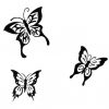 Papillon Noir Png 5 » Png Image à Papillon À Dessiner