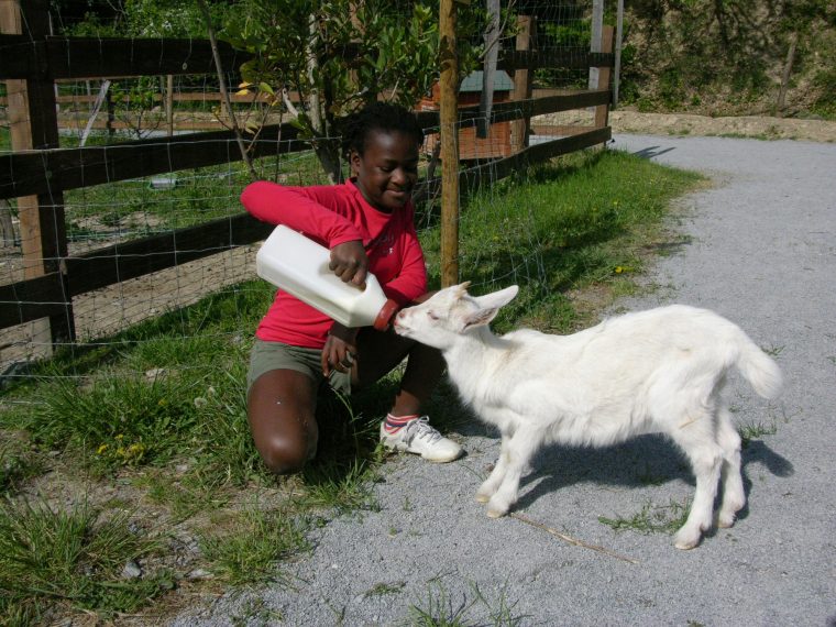 Parc Animalier De Lussas – Ardèche encequiconcerne Jeux De Ferme Gratuit Avec Des Animaux