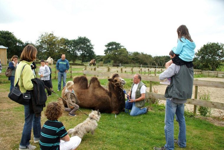 Parc Animalier "la Ferme D'eden" | Office De Tourisme Roscoff destiné Jeux De Ferme Gratuit Avec Des Animaux