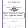 Pdf) Interaction Laser-Semiconducteur: Contribution À L tout Ivre Mots Fleches