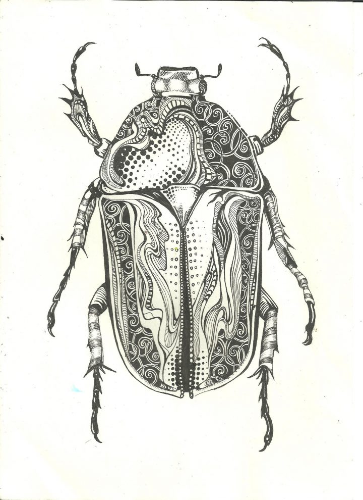 Pen Beetle – Sold | Scarabée, Dessin Scientifique, Dessin encequiconcerne Dessin Scarabée