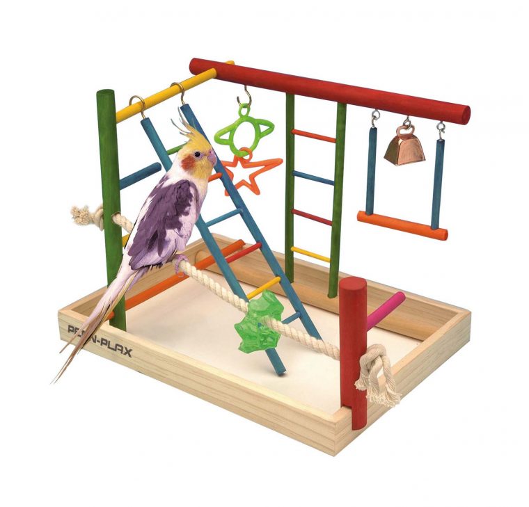 Penn Plax Bois Parc Des Oiseaux, Perroquet Playstand Oiseau Aire De Jeux  Perche Salle De Sport À L'échelle Avec Les Jouets Du Déroulement De intérieur Jeux De L Oiseau