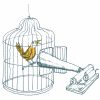 Petite Histoire De La Prise De Son Naturaliste. Épisode 1 avec Dessin De Cage D Oiseau