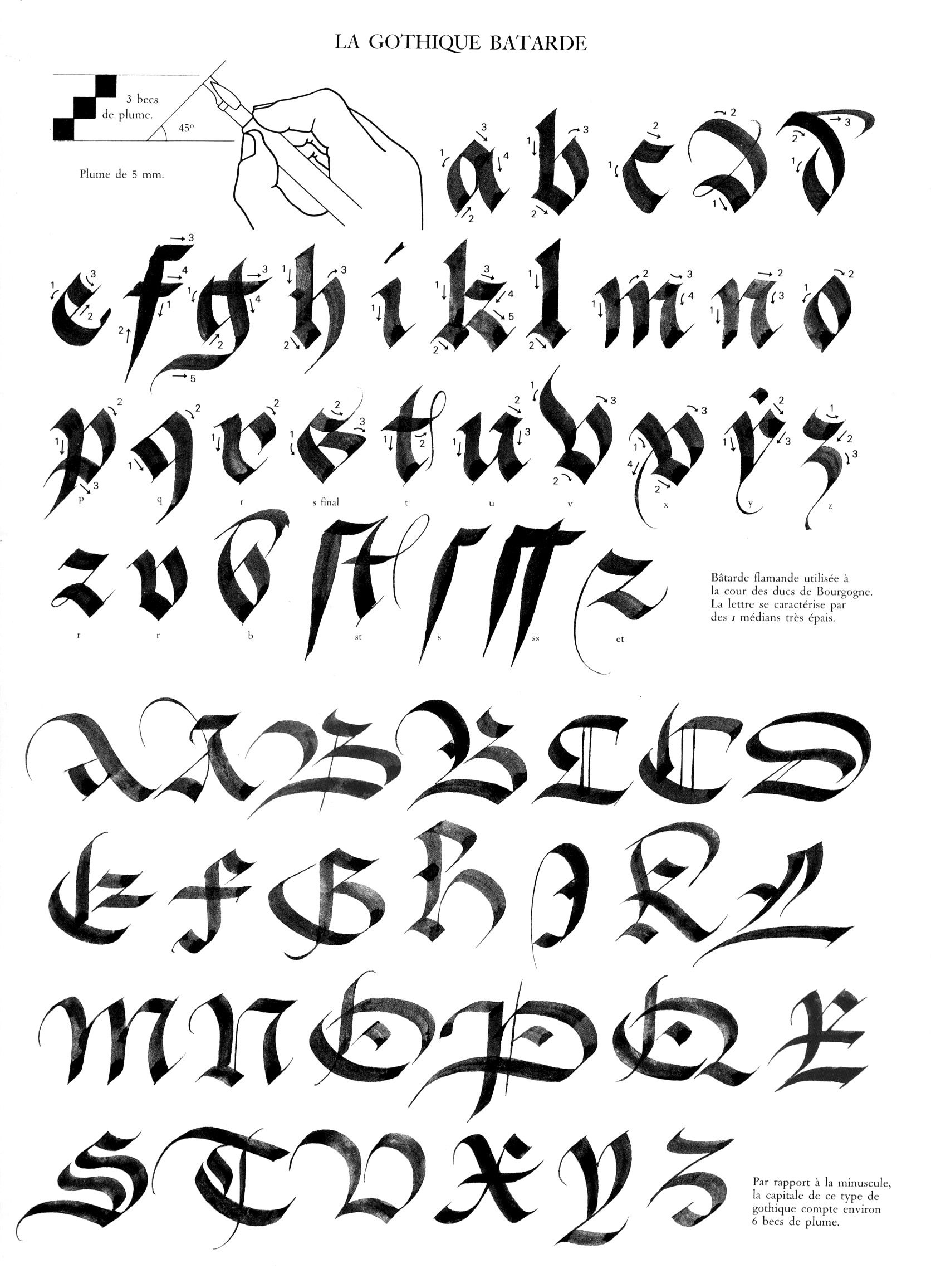 Pin On Calligraphy serapportantà Alphabet Script Minuscule