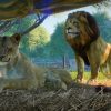 Planet Zoo : Notre Test Sur Pc - Gamekult intérieur Jeux D Animaux Gratuit