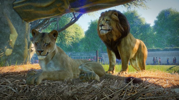 Planet Zoo : Notre Test Sur Pc – Gamekult intérieur Jeux D Animaux Gratuit