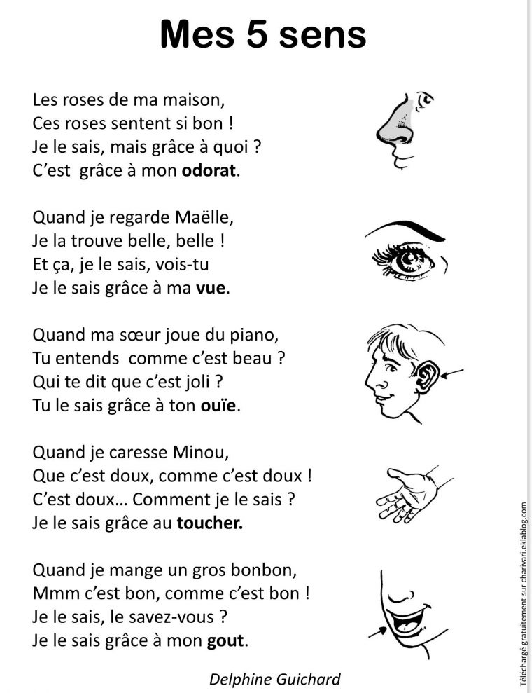 Poésie Sur Les 5 Sens | 5 Sens Maternelle, 5 Sens, Activités tout Les 5 Sens Activités Maternelle