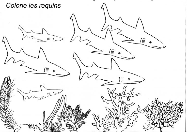 Poissons École Maternelle intérieur Fiche Graphisme Maternelle