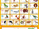 Poster-Ardoise - L'alphabet * Cahier D'activités/d'exercices tout Exercice Pour Apprendre L Alphabet En Maternelle