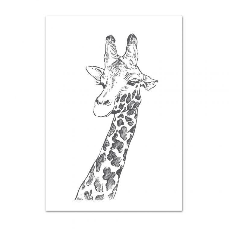 Poster Girafe Dessin Noir Et Blanc (Post0078) avec Dessin Noir Et Blanc Animaux