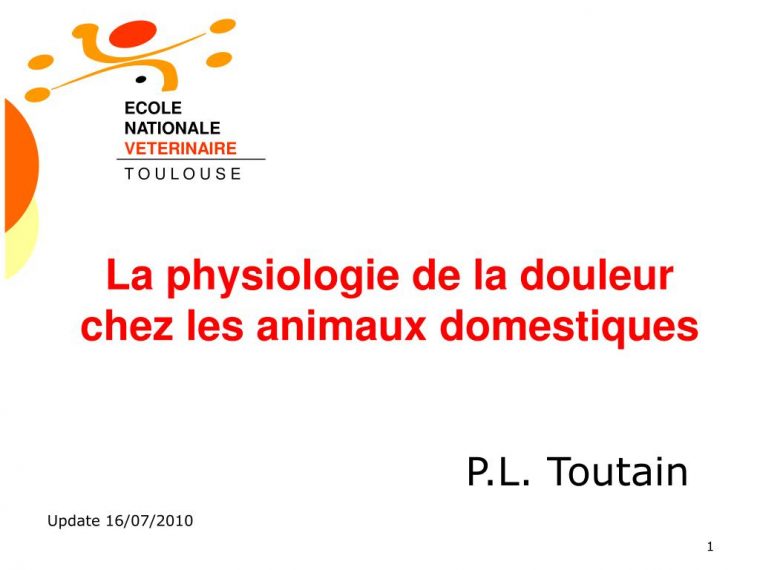 Ppt – La Physiologie De La Douleur Chez Les Animaux tout Les Animaux Domestiques En Maternelle