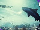 Preview Maneater, L'improbable Rpg Aux Commandes D'un Requin intérieur Requin Jeux Video