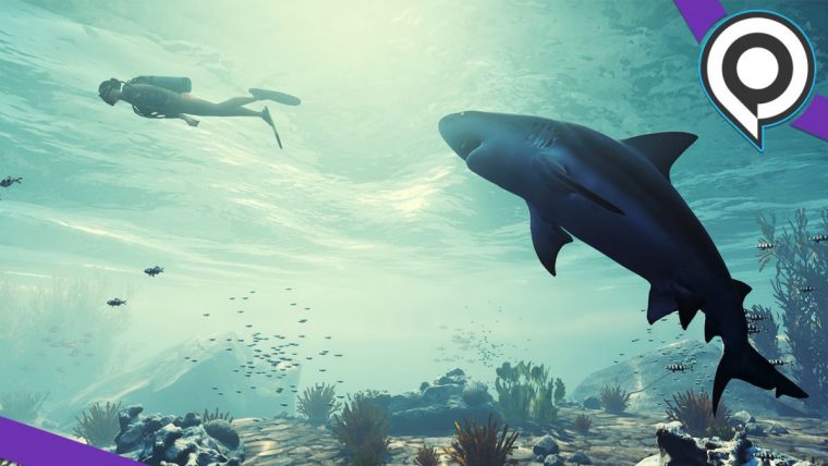 Preview Maneater, L'improbable Rpg Aux Commandes D'un Requin intérieur Requin Jeux Video