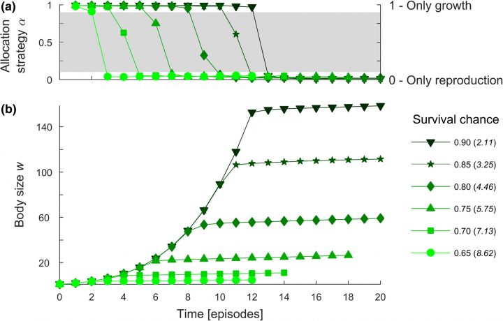 Probing Of Mortality Rate By Staying Alive: The Growth encequiconcerne Reproduire Une Figure