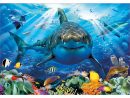 Puzzle 500 Pièces : Grand Requin Blanc pour Jeux Gratuit Requin Blanc