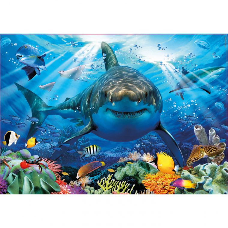 Puzzle 500 Pièces : Grand Requin Blanc pour Jeux Gratuit Requin Blanc