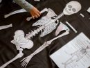Puzzle Des Os De Squelette A Reconstituer - 1 Mètre - À tout Jeux De Squelette Gratuit